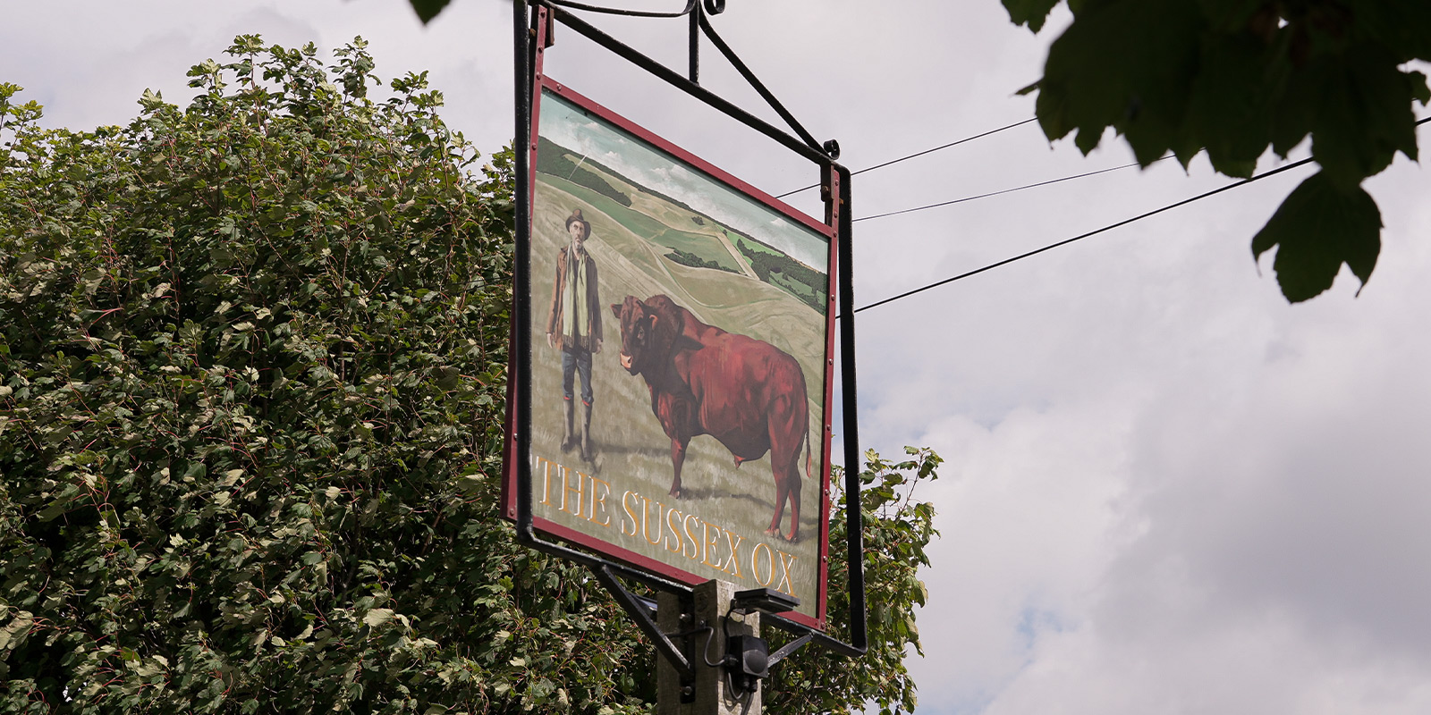 Dog friendly pub